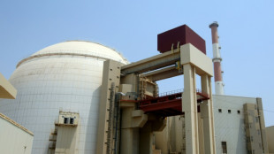 Ir&aacute;n desconecta algunas c&aacute;maras del OIEA en sus instalaciones nucleares