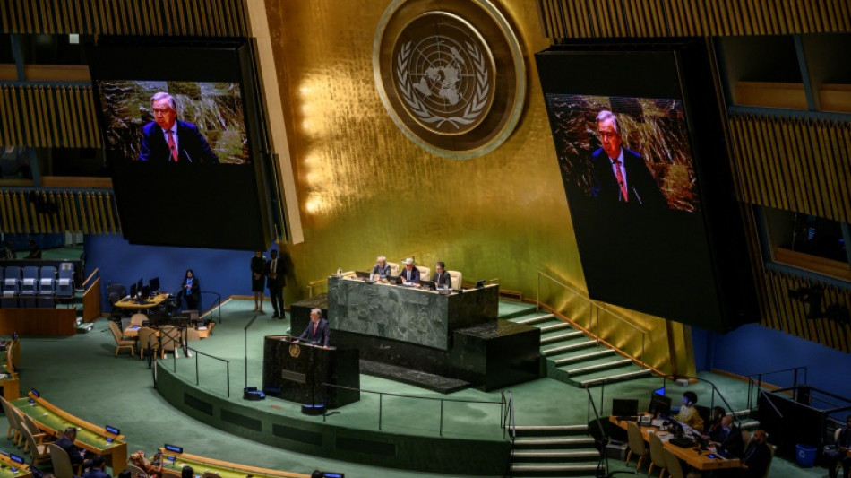 "Historisches" UN-Hochsee-Schutzabkommen formell beschlossen