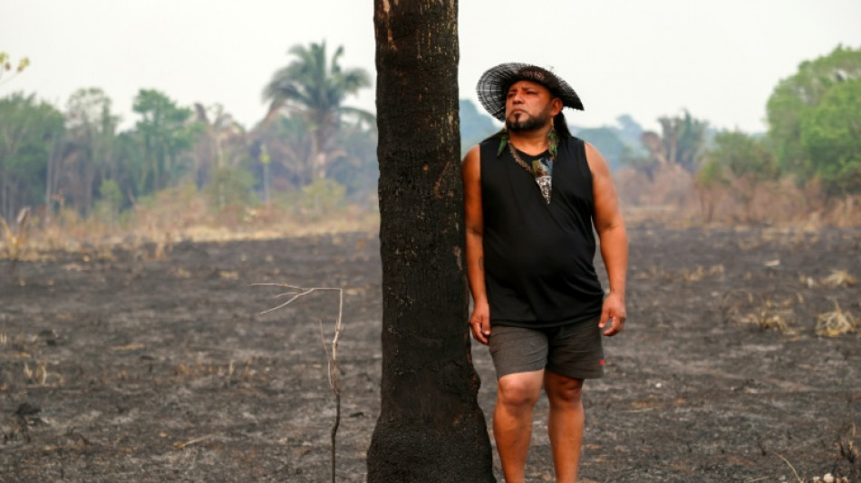  Avan&ccedil;o de Fl&aacute;vio Bolsonaro preocupa guardi&otilde;es da Amaz&ocirc;nia 