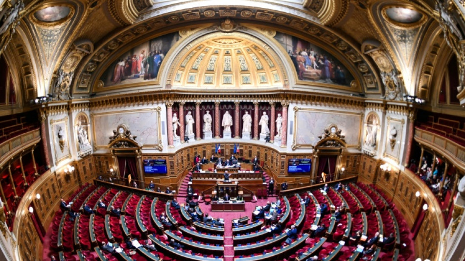 Budget: le Sénat fait barrage à la taxation des superprofits