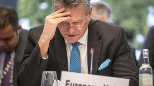 Sefcovic, 'con l'India gi&ugrave; i dazi su vini-olio, benissimo sull'auto'