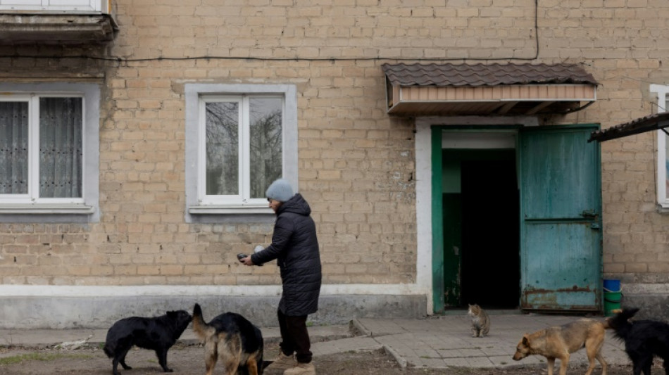 Nourrir les chiens et "volont&eacute; de Dieu": une journ&eacute;e &agrave; la lisi&egrave;re du front ukrainien