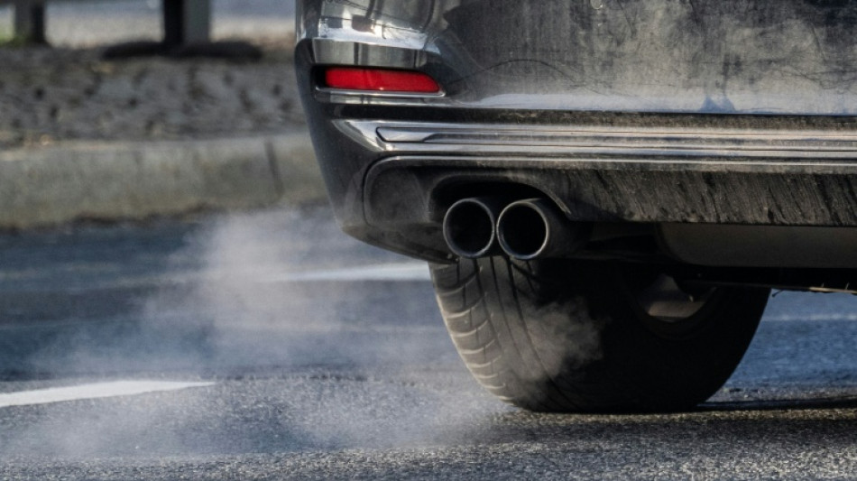  German court to rule in climate case against automakers 