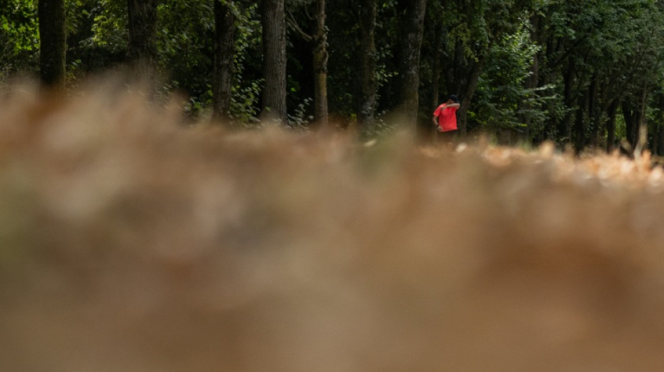  &Eacute;ni&egrave;me journ&eacute;e &eacute;cras&eacute;e par la chaleur avant une am&eacute;lioration, feu majeur dans les Landes 