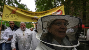Des apiculteurs manifestent contre les pesticides &agrave; Toulouse et Bordeaux