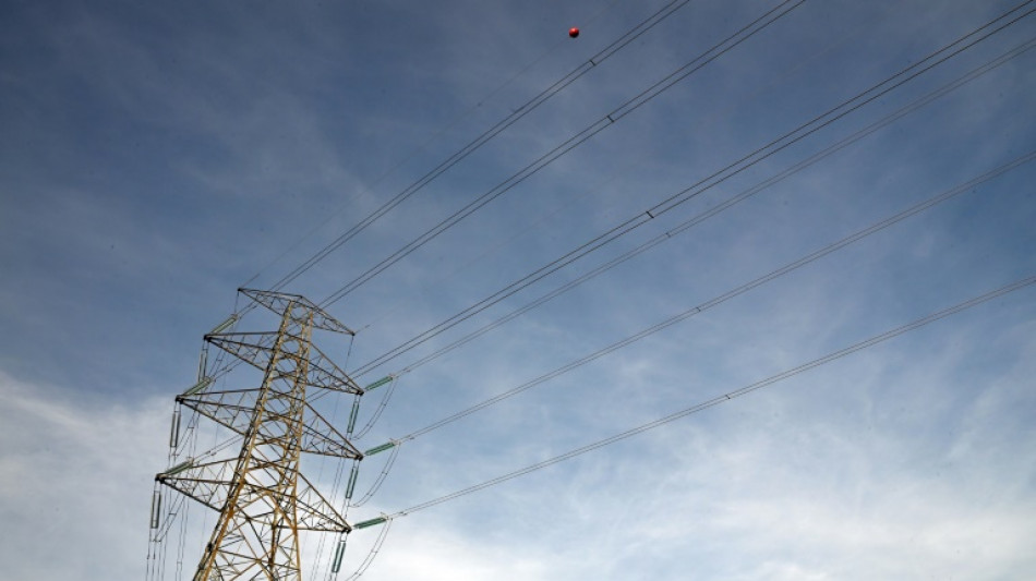 Misskl&auml;nge in Koalition wegen Stromsteuer - Bas findet Unions-Vorgehen irritierend