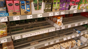 Lebensmittel-Verband kritisiert Initiative für Straffreiheit des "Containerns"