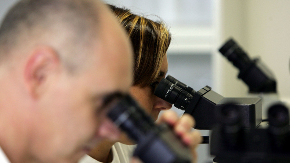 Danni alla salute anche dalle microplastiche a base di amido