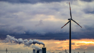 KfW: Anteil erneuerbar produzierten Stroms in EU erreicht 2023 neuen Höchstwert