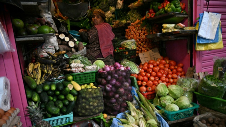  El Banco Mundial advierte de una fuerte alza de precios de los alimentos hasta 2027 