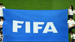 Spielervermittler vs. Verb&auml;nde: R&uuml;ckschlag f&uuml;r FIFA und DFB