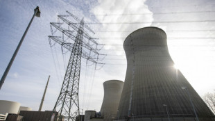 L'Allemagne maintient deux centrales nucl&eacute;aires en veille jusqu'&agrave; 2023