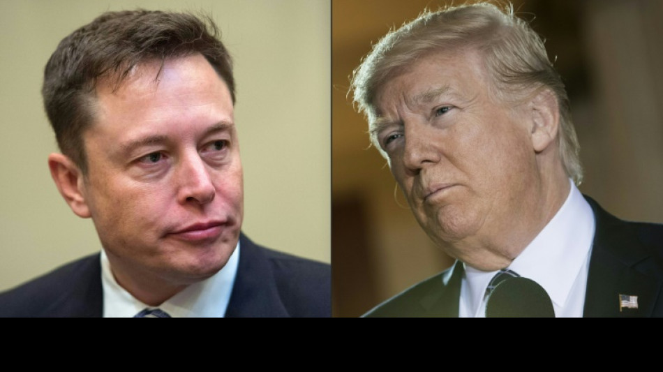 Milliard&auml;r Musk bestreitet Spenden von 45 Millionen Dollar monatlich f&uuml;r Trump