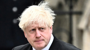 Ex-Premier Johnson erhält 315.000 Euro für Vortrag in den USA