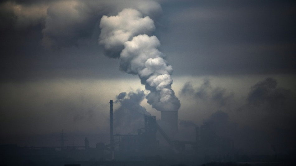 ¿Cómo calculan las empresas sus emisiones de gases de efecto invernadero?
