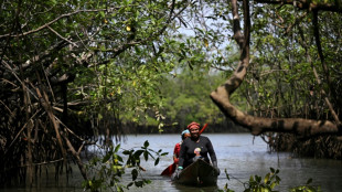 La exitosa batalla de los afrocolombianos para conservar su para&iacute;so en el Pac&iacute;fico