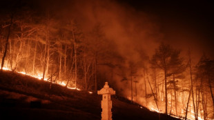 "Comme l'apocalypse", les incendies de forêt en Corée du Sud déchirent les montagnes