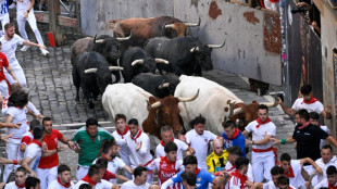 En Espagne, dernier jour des f&ecirc;tes de la San Fermin &agrave; Pampelune, 57 bless&eacute;s cette ann&eacute;e
