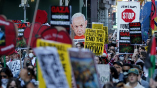 A Washington, Caracas ou au Cap, des manifestations en soutien &agrave; Gaza un an apr&egrave;s le 7-Octobre
