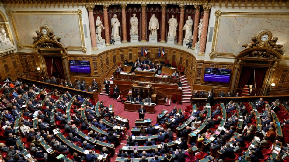  "Casseurs-payeurs": un projet de loi critiqu&eacute; au S&eacute;nat, en plein coeur de la contestation 