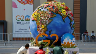 Índia recebe cúpula do G20 com divisões sobre a Ucrânia e o clima