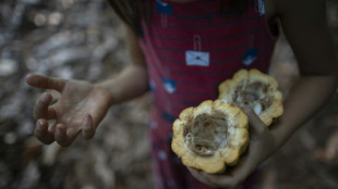 Nestlé lanza un plan de lucha contra el trabajo infantil en el cacao