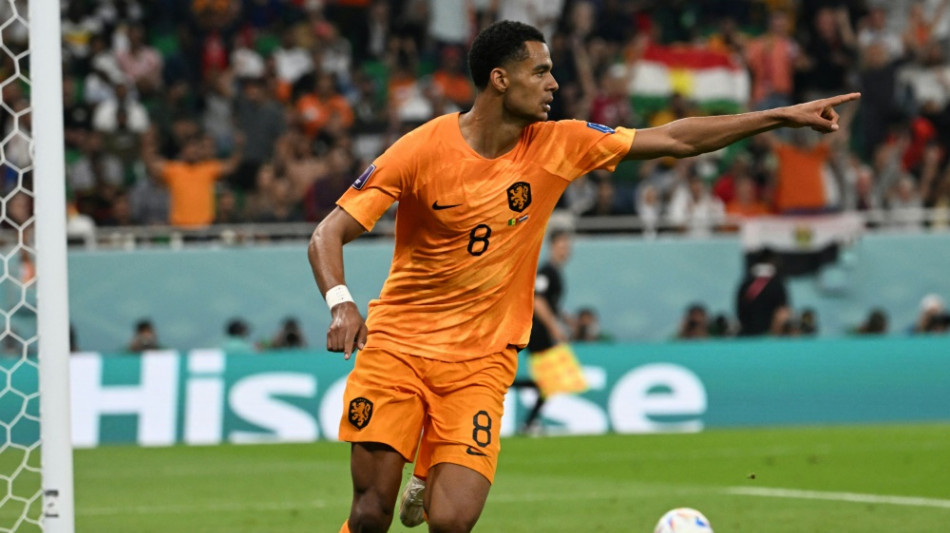 Glücklicher Sieg gegen Senegal: Niederlande jubeln spät