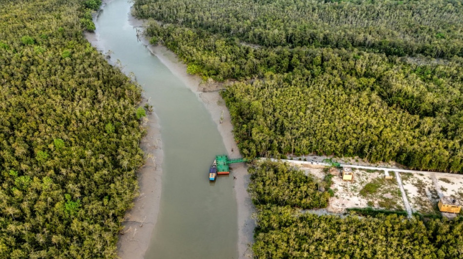  Bangladesh: des pirates ran&ccedil;onnent ceux qui s'aventurent dans la mangrove 