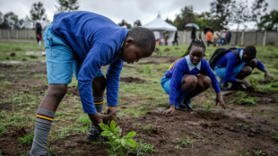 Feiertag in Kenia zum Pflanzen von hundert Millionen Bäumen
