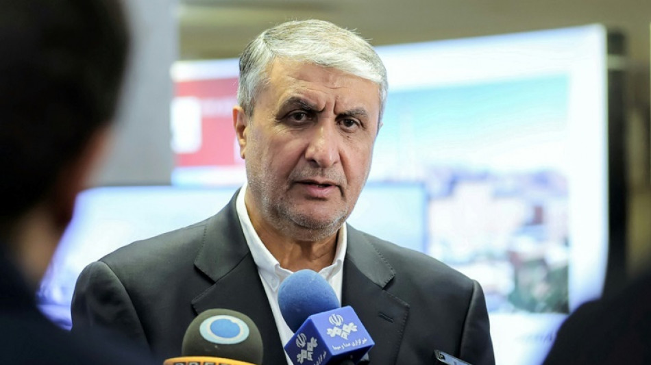 Nucl&eacute;aire: Trump met en garde Isra&euml;l contre toute frappe sur l'Iran