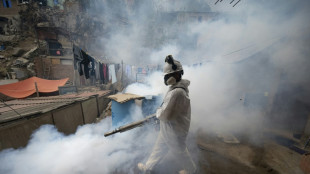 Peru usa brigadas sanitárias para tentar controlar a dengue