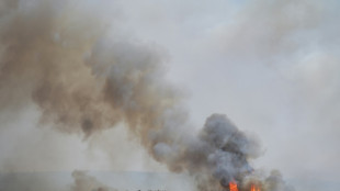 Un incendie parcourt 800 hectares dans l'Hérault, dans une France frappée par la sécheresse