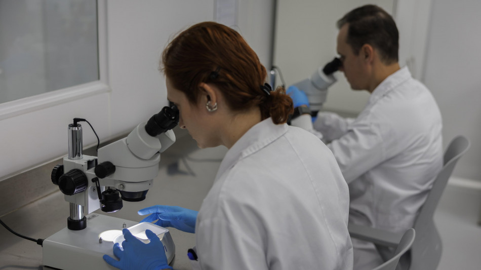  Dalle analisi ai farmaci, l'IA &egrave; entrata nella ricerca sul cancro 