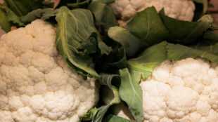 Ern&auml;hrungsreport: Verbraucher gehen sorgsamer mit abgelaufenen Lebensmitteln um