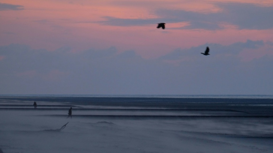  Bestattungsschiff strandet vor Juist - Seenotretter holen Passagiere von Bord 