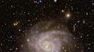 Primeiras imagens do telescópio espacial Euclid revelam vislumbres do 'zoológico galáctico'