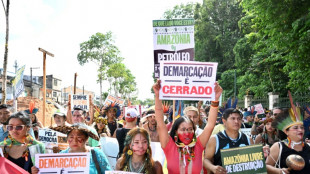 Amazonasgipfel-Teilnehmer gründen Allianz zur Bekämpfung der Abholzung in der Region
