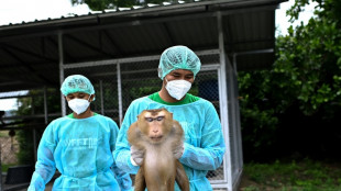 Sunbears to elephants: life at a Thai wildlife hospital