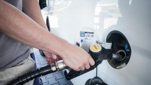 Emendamento Lega, rinvio di 1 anno per blocco diesel euro 5