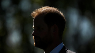 Salta invito Harry a Buckingham Palace, 'risposta tardiva del duca'