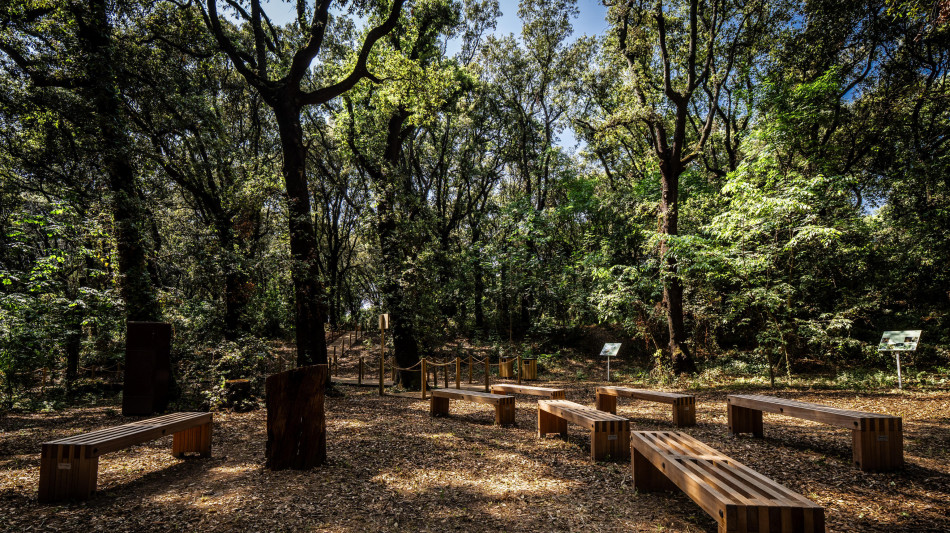 La fotosintesi in aumento sulla terraferma, ma rallenta nei mari
