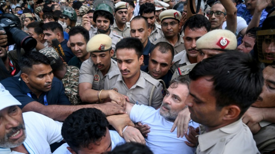  India opposition leader released after protest detention 