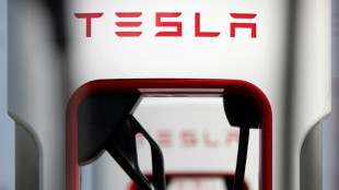 Tesla meldet für zweites Quartal Gewinnanstieg auf 2,7 Milliarden Dollar