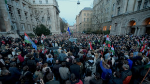 Mutmaßlicher Korruptionsfall: Tausende protestieren in Ungarn gegen Orban