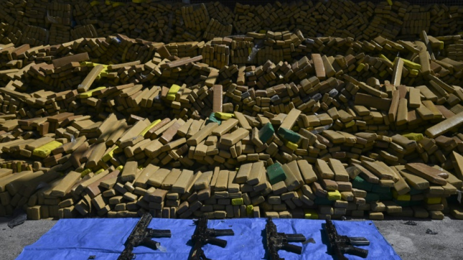  Brazilian police dog sniffs out 48 tons of marijuana in record bust 