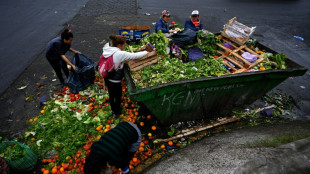 UNO: Täglich landet eine Milliarde noch genießbare Mahlzeiten auf dem Müll