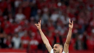 Nach Wolfsgru&szlig;: UEFA sperrt Demiral f&uuml;r zwei Spiele