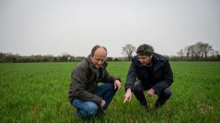 Chercheurs et agriculteurs coop&egrave;rent pour diminuer la d&eacute;pendance aux produits chimiques