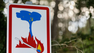 Trois départements du Sud-Est en vigilance rouge aux feux de forêt mercredi