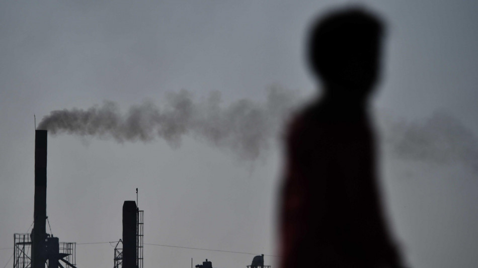 Bankitalia, aziende inquinanti a maggior rischio di default